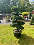 Cloud Tree 12 - 162cm
