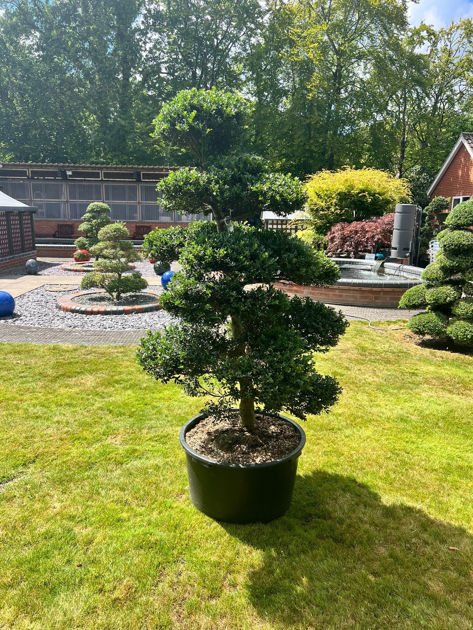 Cloud Tree 12 - 162cm