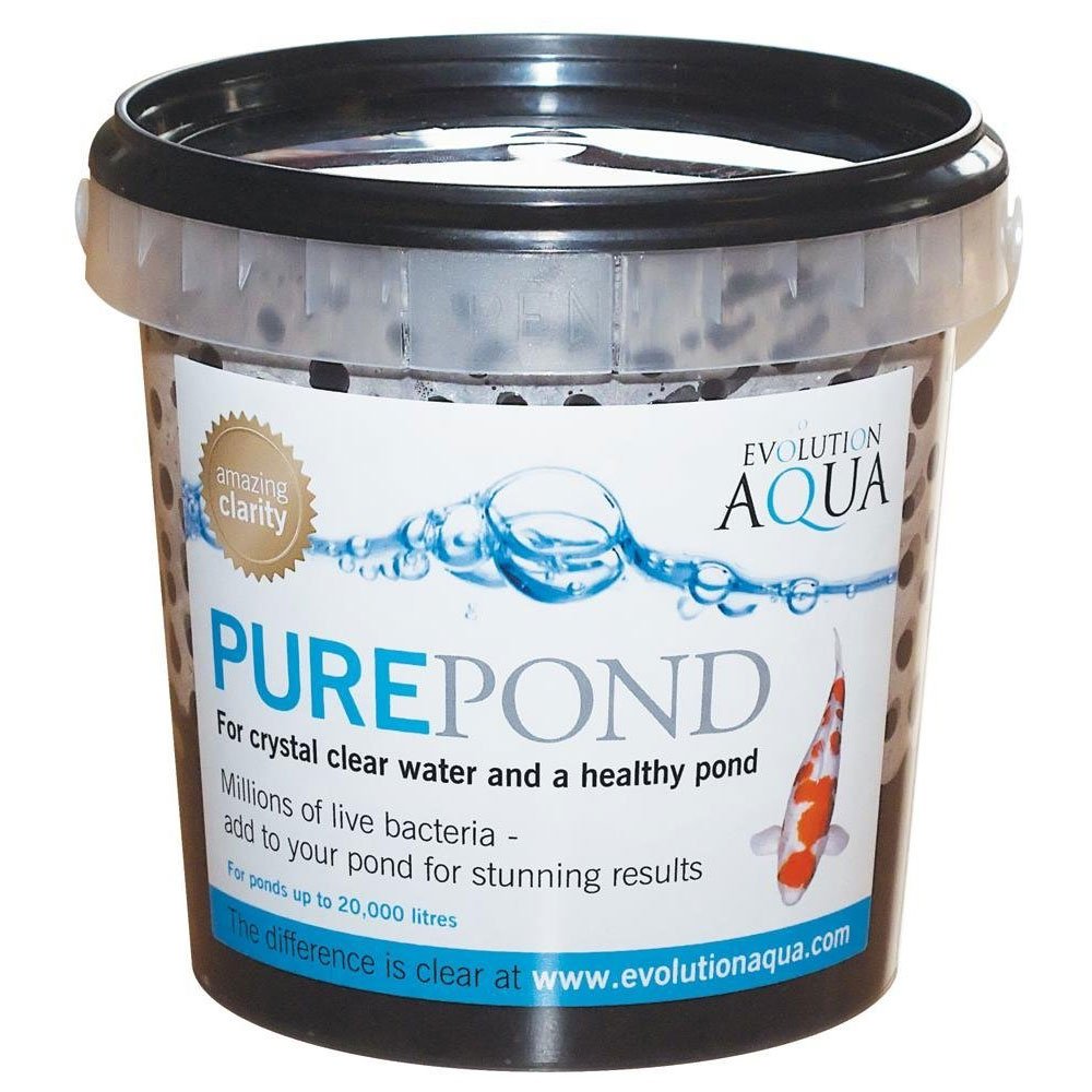 PURE Pond