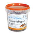 Silkworm Pupae