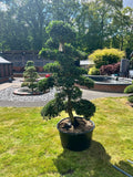 Cloud Tree 15 - 160cm