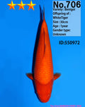Benigoi