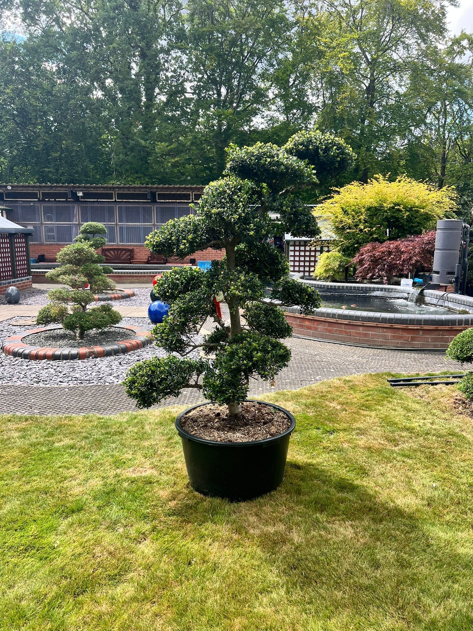 Cloud Tree 7 - 150cm