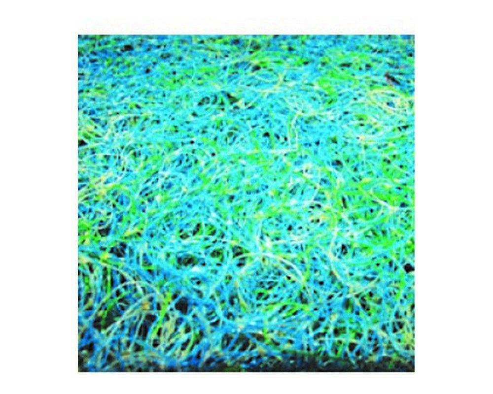 Japanese Mat (1.2m x 1m) Economy - Selective Koi Sales