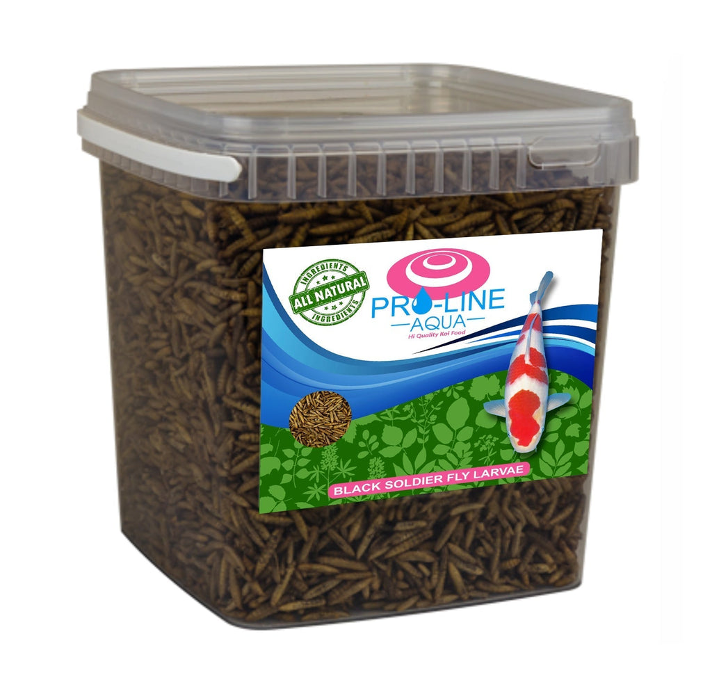 Pro-Line Aqua - BSF (Black Soldier fly) Larvae 5ltr 800g