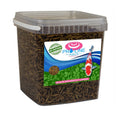 Pro-Line Aqua - BSF (Black Soldier fly) Larvae 5ltr 800g