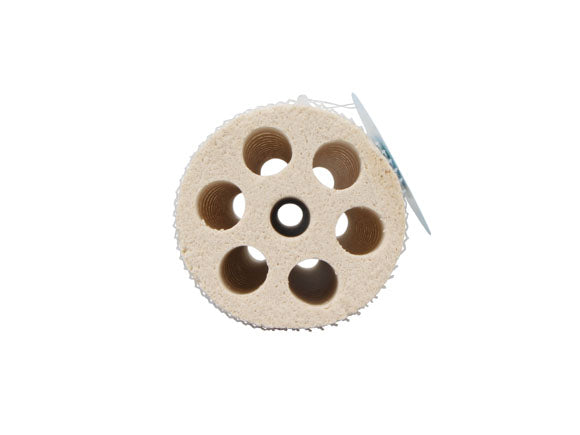 Mountain Tree Fresh Lotus Root Bacteria House Dia 8X25CM