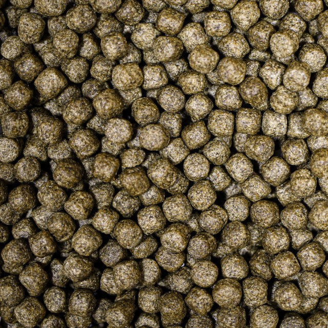 NT Labs Medikoi - Staple with colour 6mm - 3kg