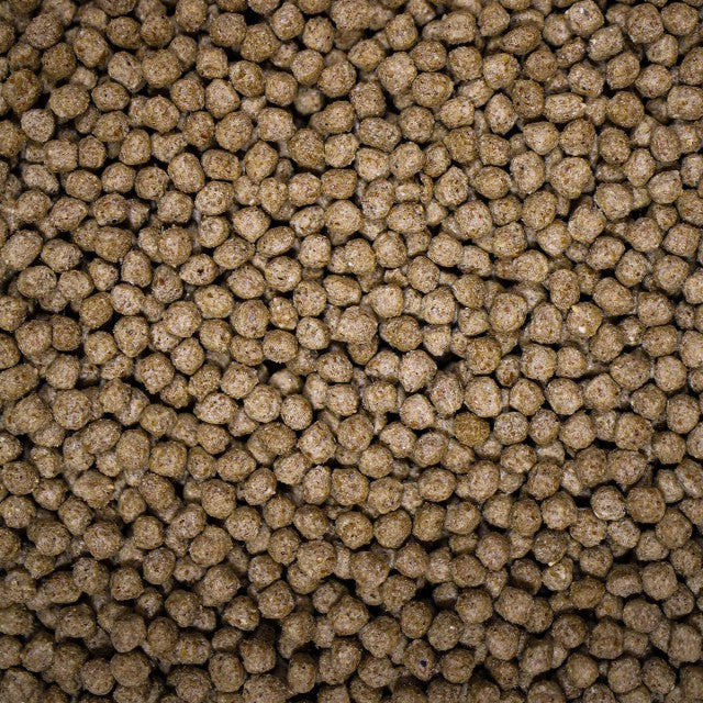 NT Labs Medikoi - Wheatgerm with Garlic 6mm - 3kg