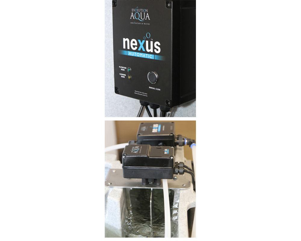 NEXUS AUTOMATIC SYSTEM for pump fed - Selective Koi Sales